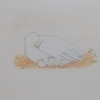 とき様からのお題「育む」