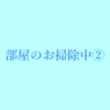 部屋のお掃除中②