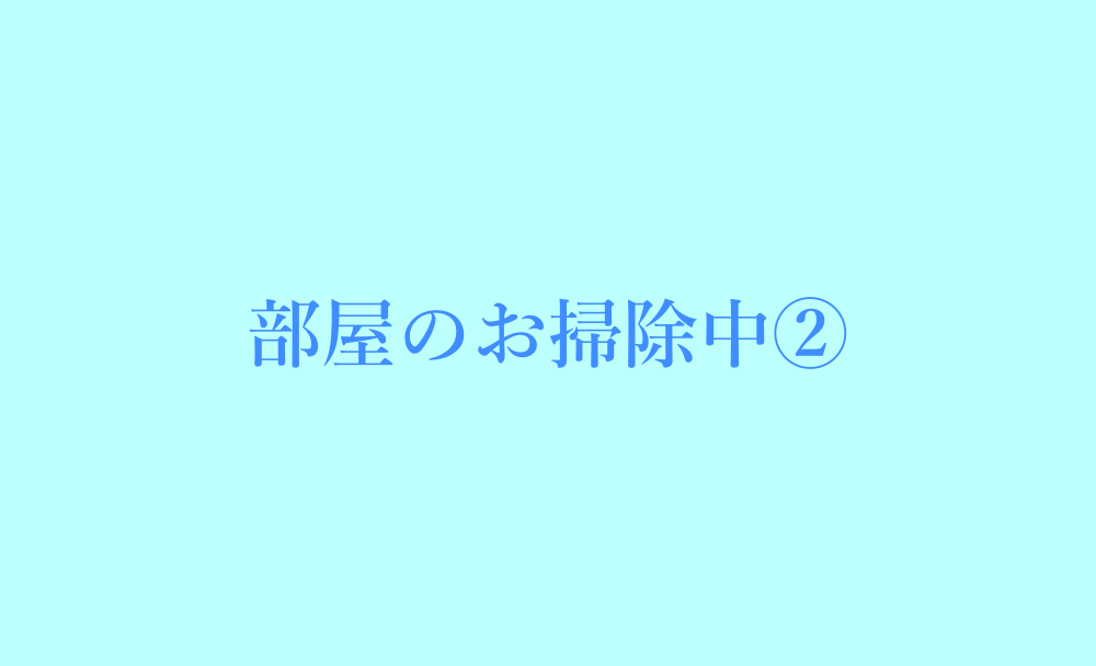 部屋のお掃除中②