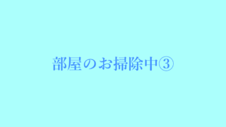 部屋のお掃除中③