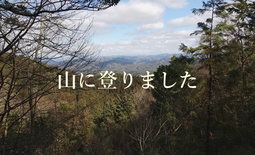 山に登りました